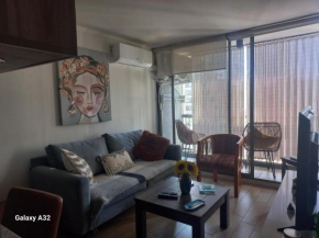 Cómodo departamento en Santiago centro